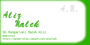 aliz malek business card
